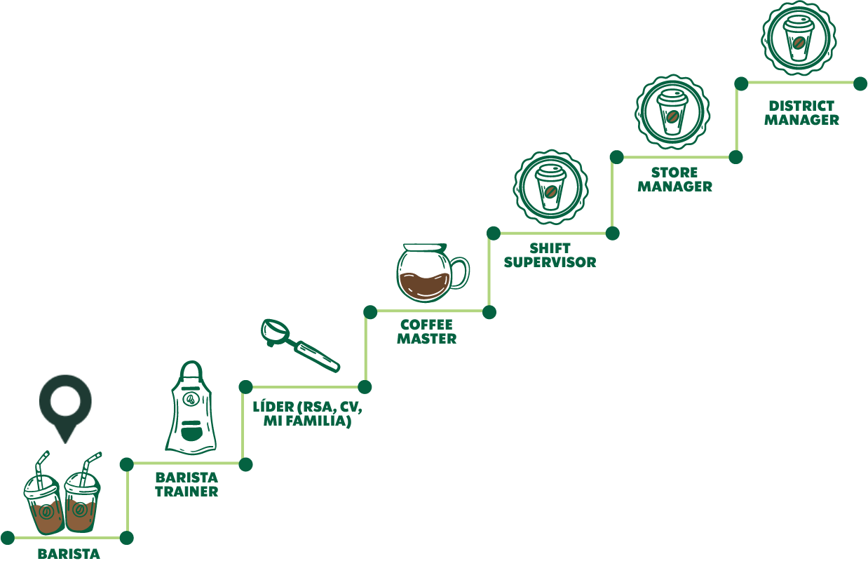 Organigrama de carrera profesional