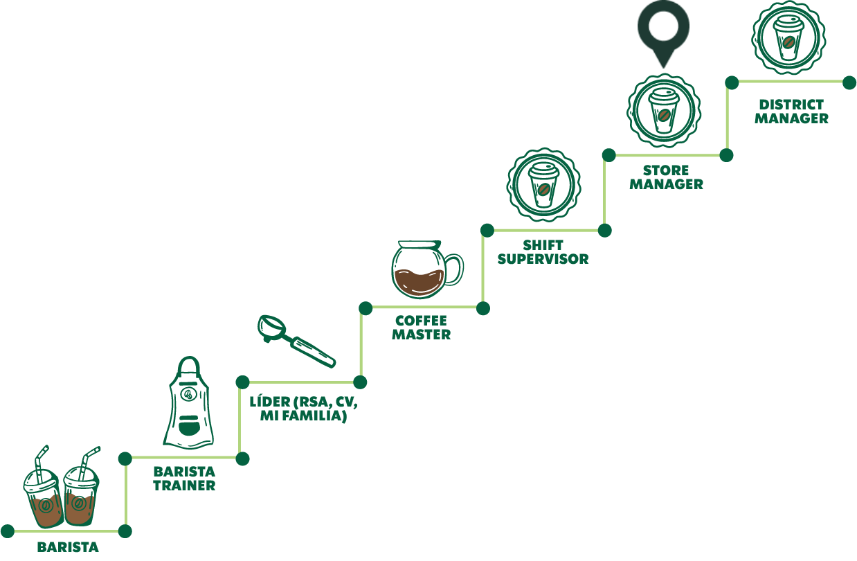 Organigrama de carrera profesional